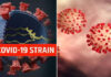 ਵਿਸ਼ਵ ਦੇ ਲੱਗਭੱਗ 86 ਦੇਸ਼ਾਂ ਨੂੰ ਆਪਣੀ ਚਪੇਟ ਵਿੱਚ ਲੈ ਚੁੱਕਾ ਹੈ ਕੋਰੋਨਾ ਵਾਇਰਸ ਦਾ ਸਟ੍ਰੇਨ : WHO