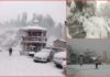 Snowfall In Himachal: ਪਹਾੜਾਂ ‘ਚ ਬਰਫ਼ਬਾਰੀ ਨਾਲ ਕਈ ਹਿੱਸਿਆਂ ‘ਚ ਆਵਾਜਾਈ ਠੱਪ