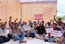 ਲੈਂਡ ਮਾਰਟਗੇਜ ਬੈਂਕਸ ਕਰਮਚਾਰੀ ਯੂਨੀਅਨ (ਰਜਿ :)ਪੰਜਾਬ ਦੇ ਕਰਮਚਾਰੀ ਗਏ ਸਮੂਹਿਕ ਛੁੱਟੀ ਤੇ ਜਿੱਲ੍ਹਾ ਪੱਧਰੀ ਦਫਤਰਾਂ ਮੂਹਰੇ ਦਿੱਤੇ ਧਰਨੇ